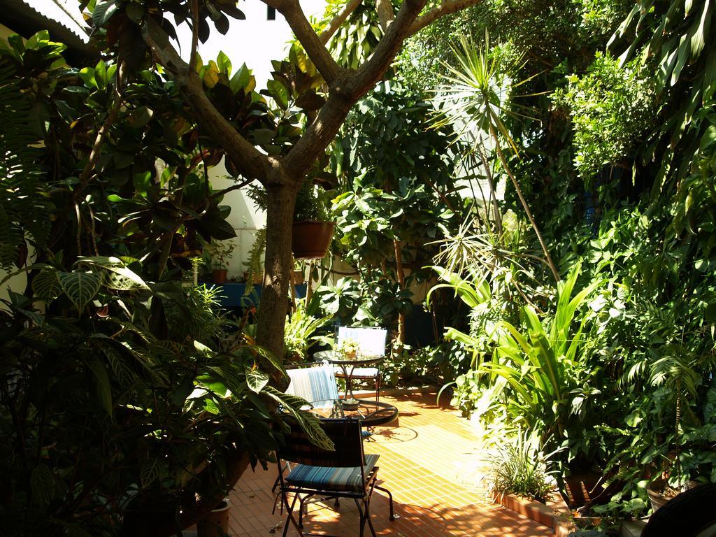 Palmeiras Guest House Maputo Eksteriør bilde